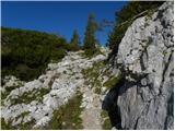 Uskovnica (Lom) - Planina pod Mišelj vrhom